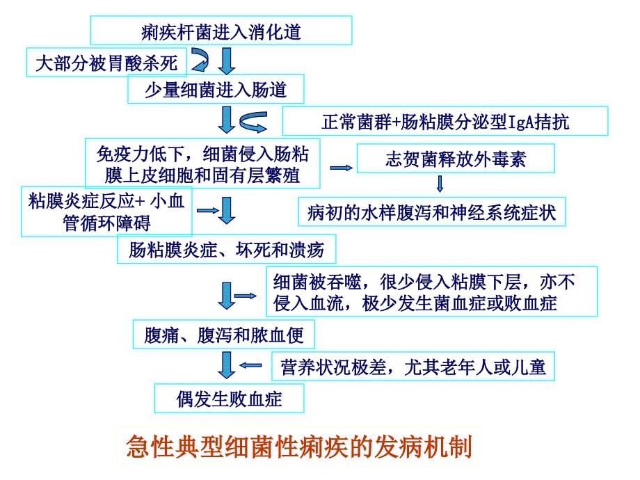 细菌性痢疾病人的护理ppt课件_第5页