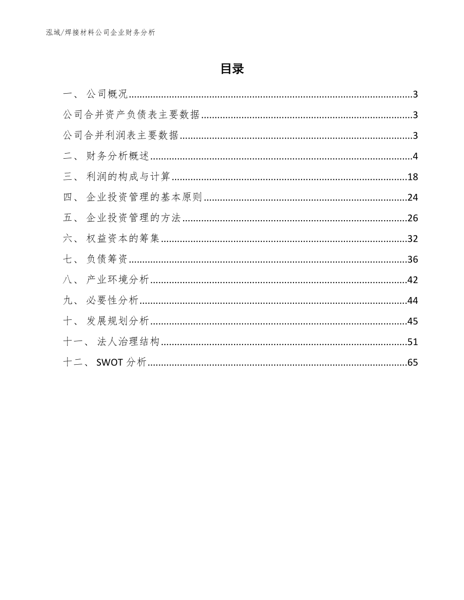 焊接材料公司企业财务分析_参考_第2页