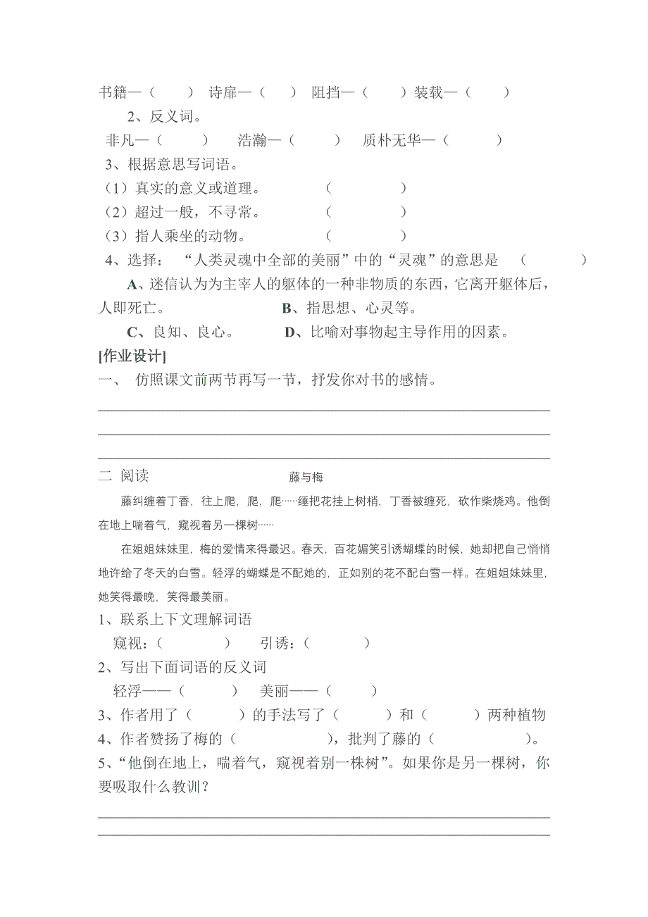 五年级语文下册《神奇的书》导学案_第2页