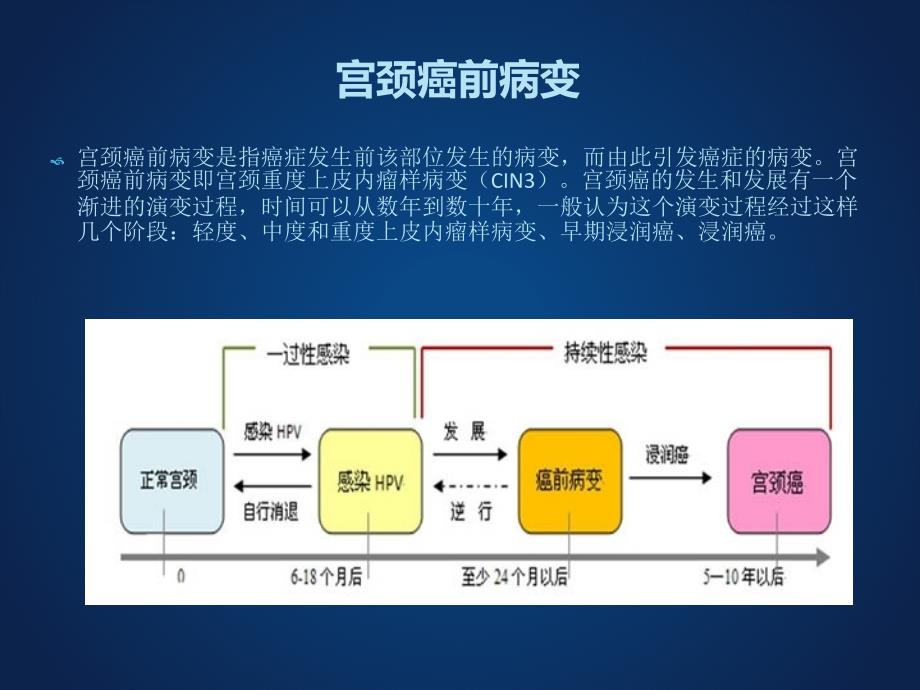 宫颈tct检查有几种结果课件_第2页