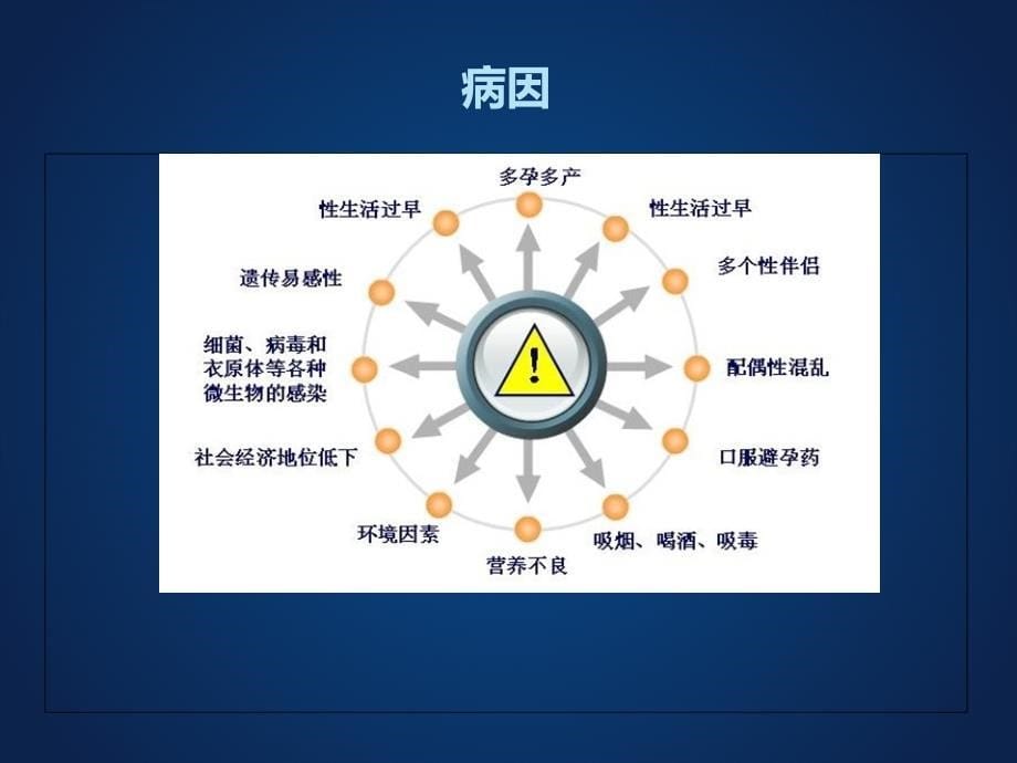 宫颈tct检查有几种结果课件_第5页