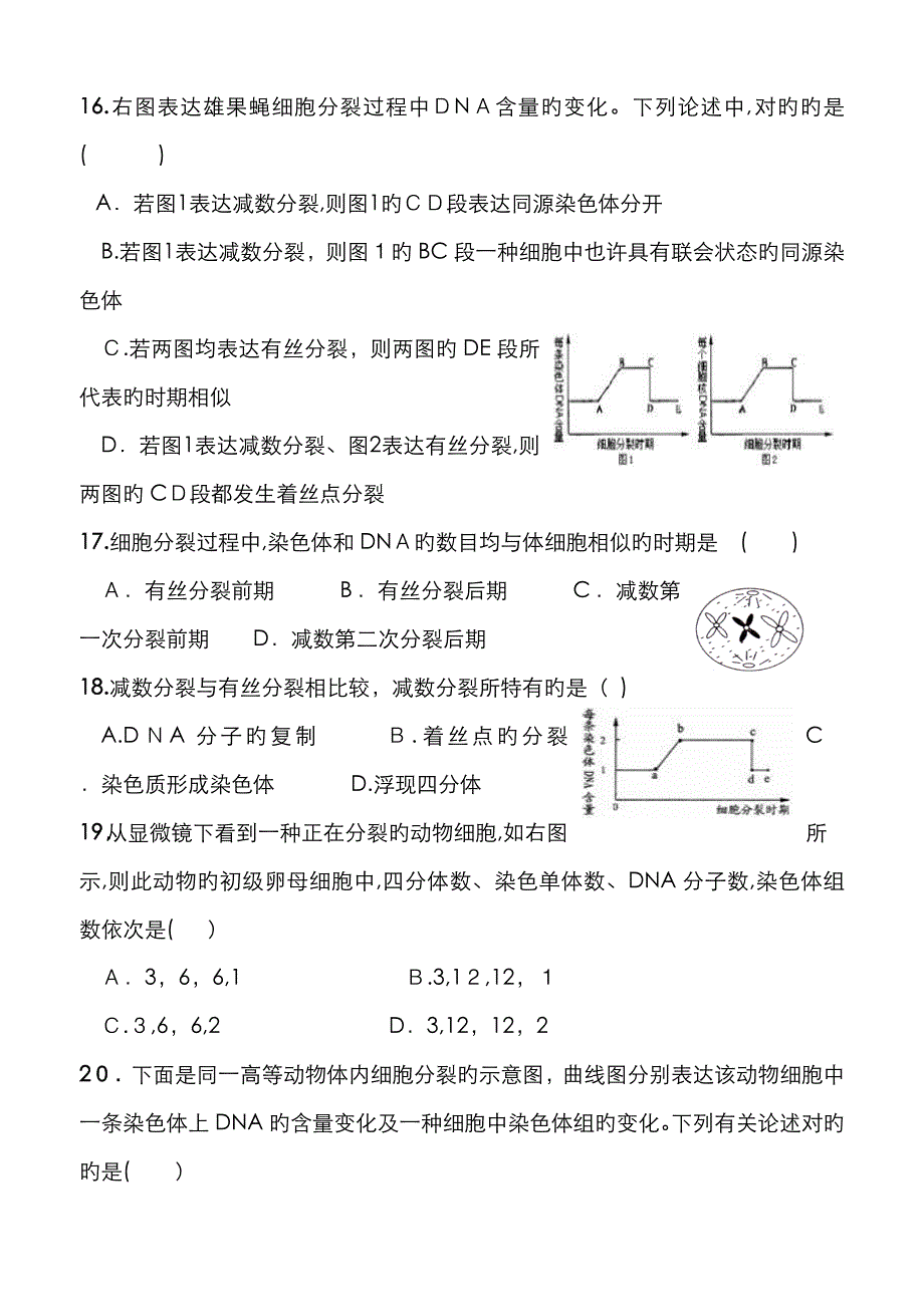 减数分裂经典习题_第4页