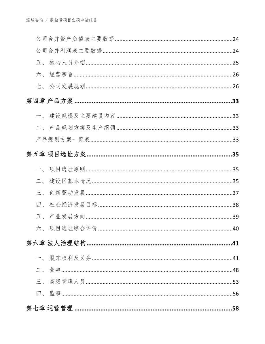 胶粘带项目立项申请报告模板范文_第5页