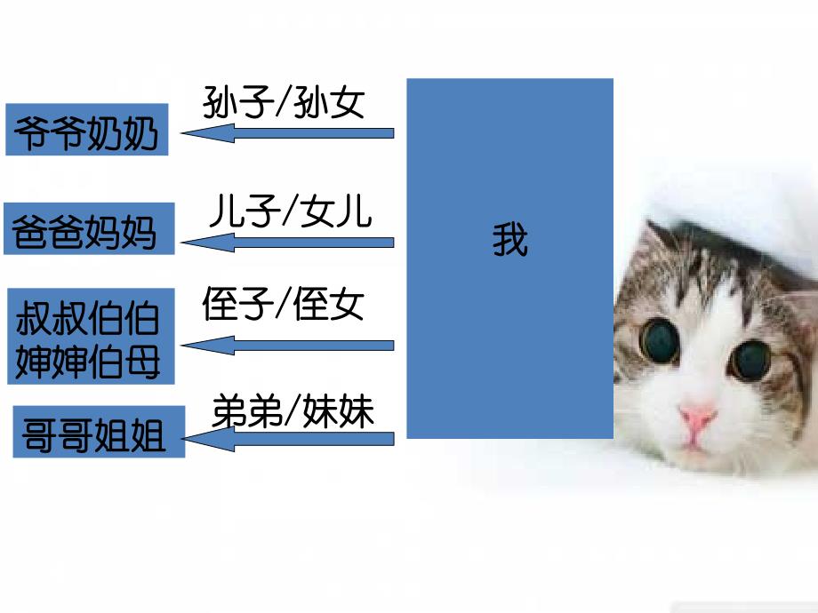 一年级上册品德课件5.我爱我家∣泰山版(共13张PPT)_第4页