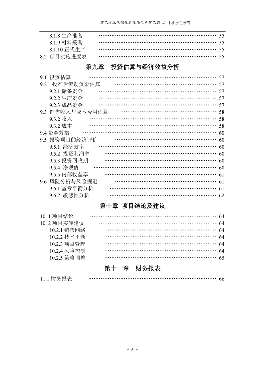 化氧化法生产环己酮可行性研究报告.doc_第5页