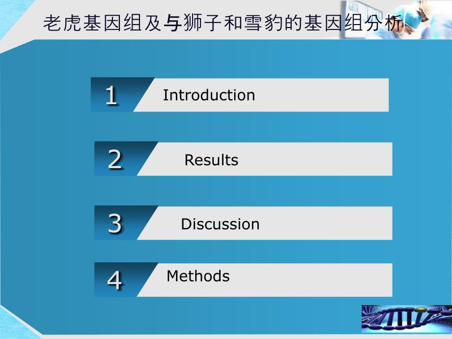 老虎基因分析ppt课件_第2页