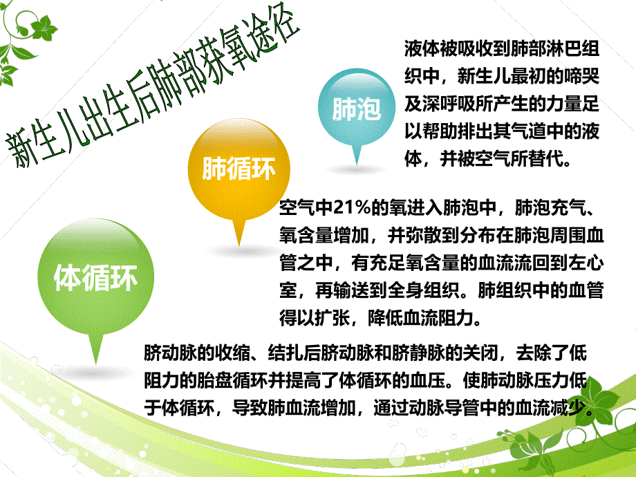 新生儿窒息复苏后护理.ppt_第2页