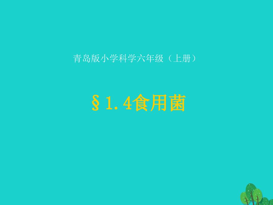 六年级科学上册食用菌ppt课件4青岛版_第1页