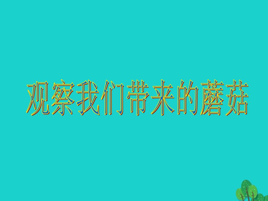 六年级科学上册食用菌ppt课件4青岛版_第2页