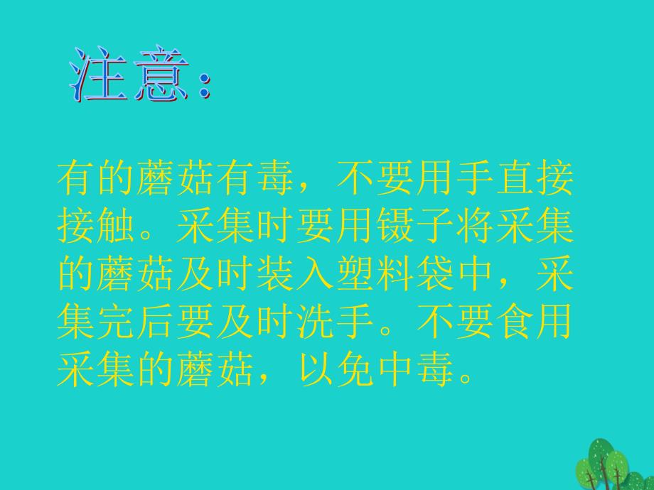 六年级科学上册食用菌ppt课件4青岛版_第3页