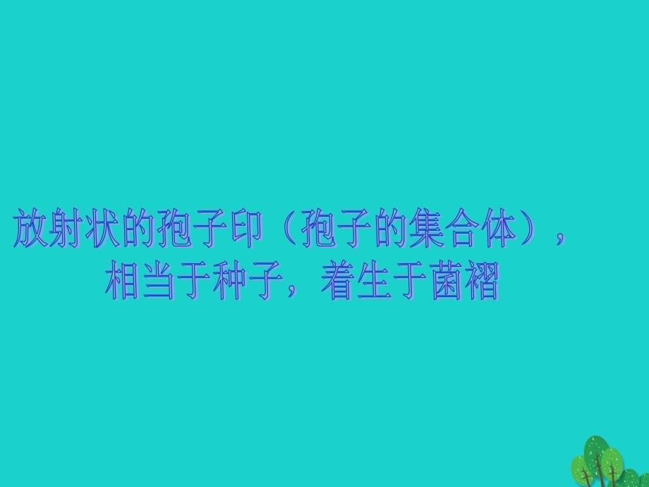 六年级科学上册食用菌ppt课件4青岛版_第5页