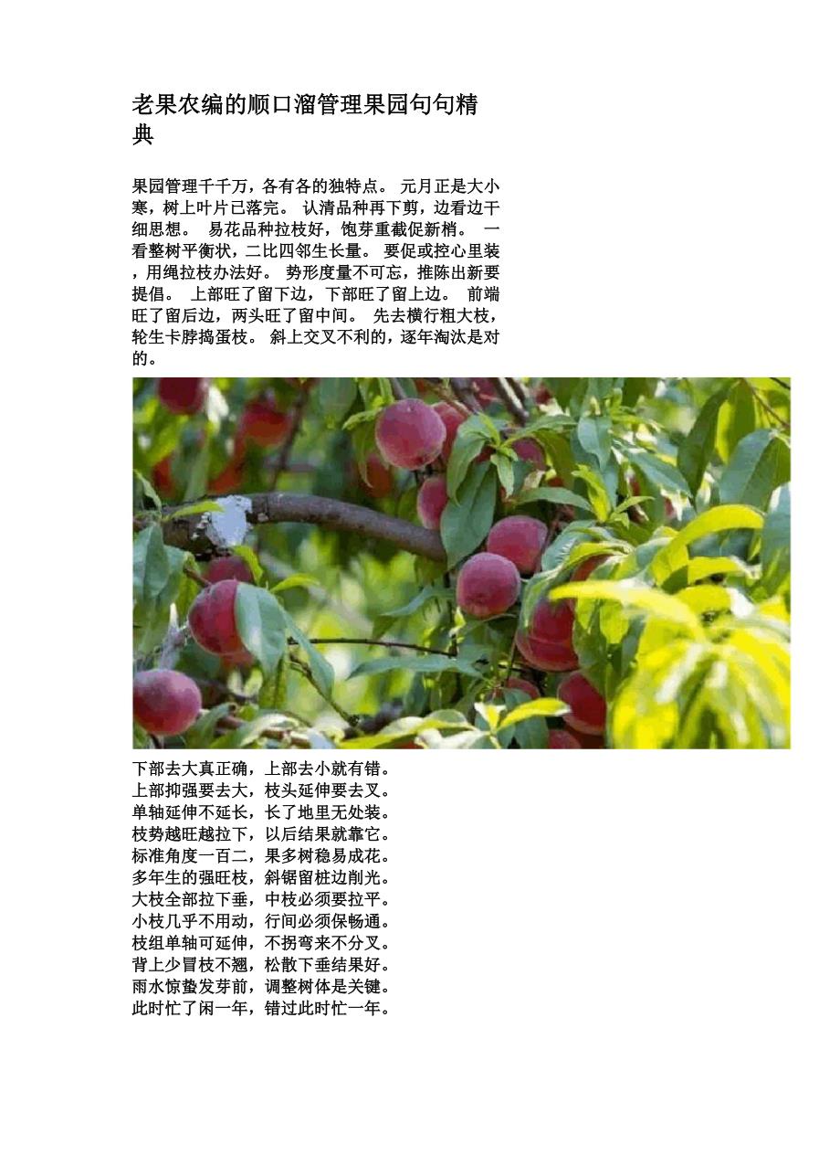 老果农编的顺口溜管理果园句句精典_第1页