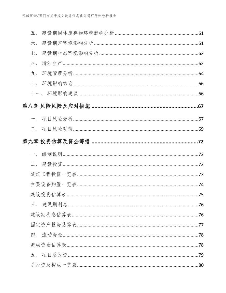 玉门市关于成立政务信息化公司可行性分析报告范文模板_第5页