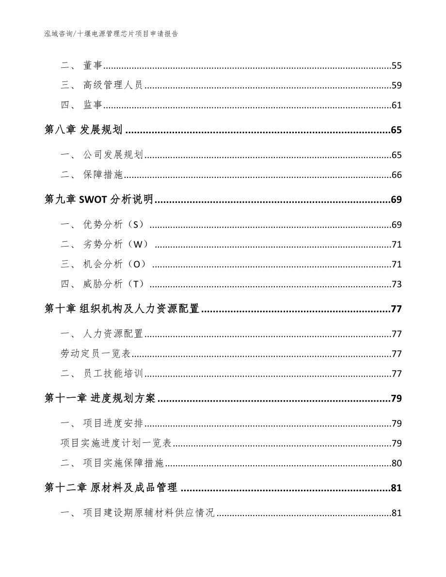 十堰电源管理芯片项目申请报告（模板）_第3页