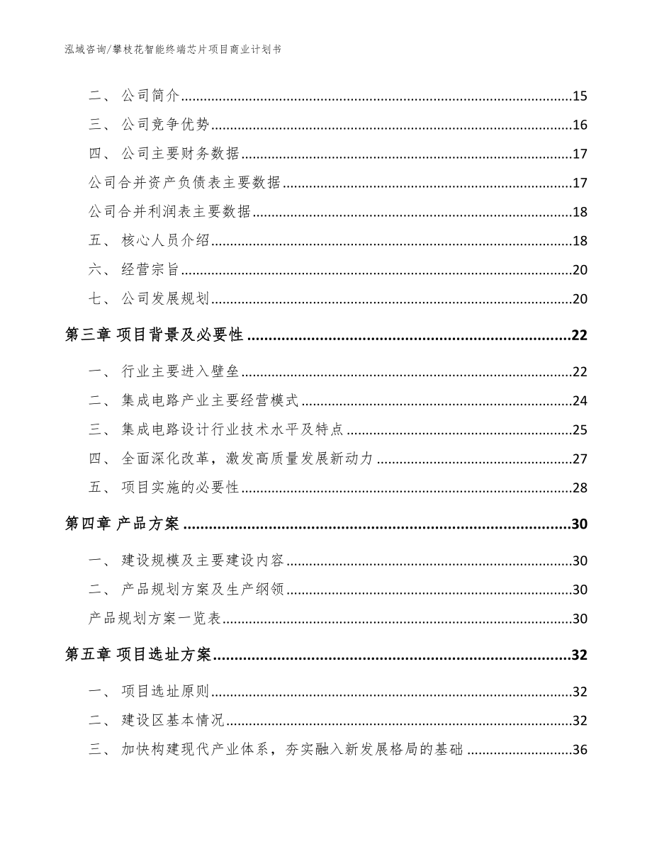 攀枝花智能终端芯片项目商业计划书_模板范本_第3页