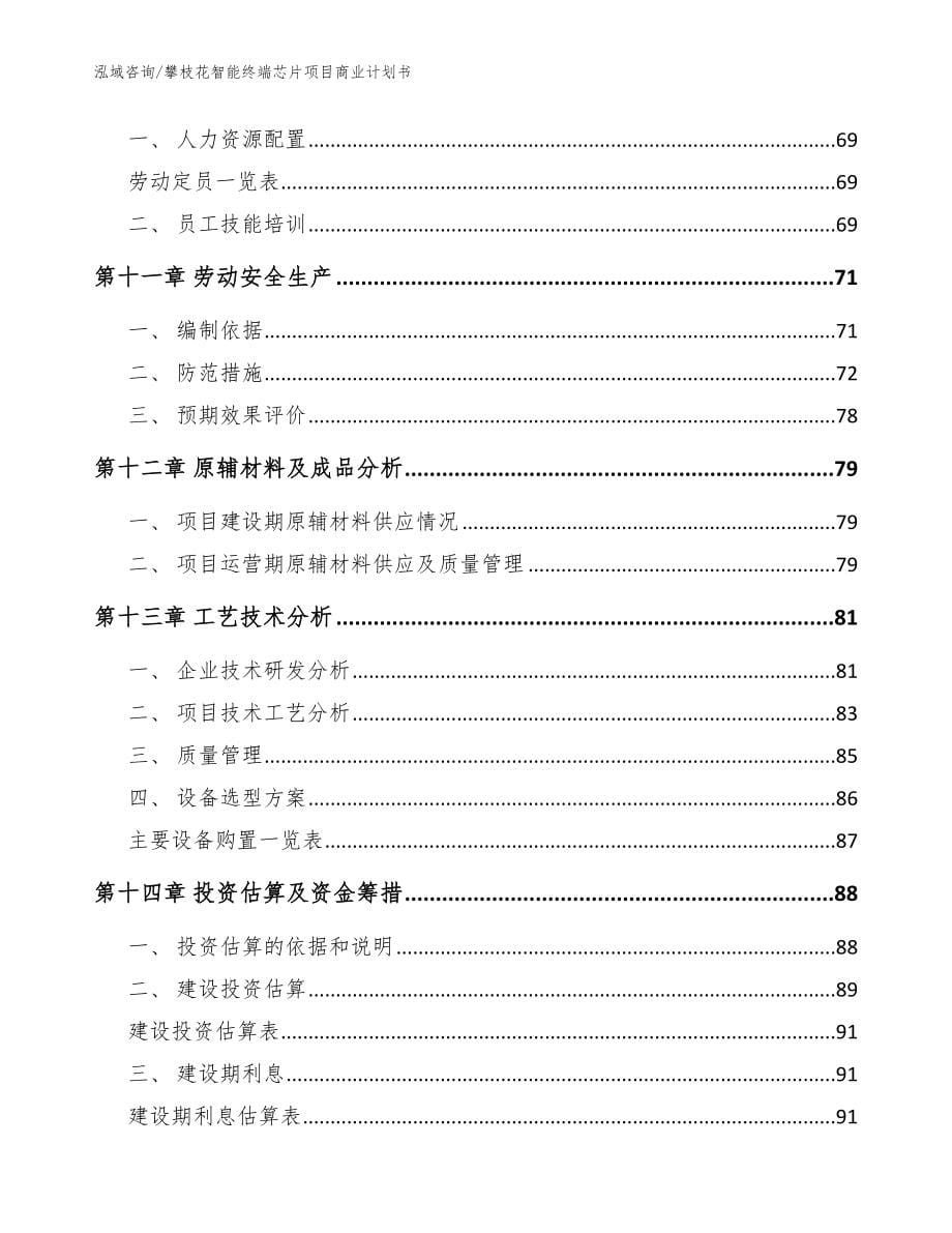 攀枝花智能终端芯片项目商业计划书_模板范本_第5页