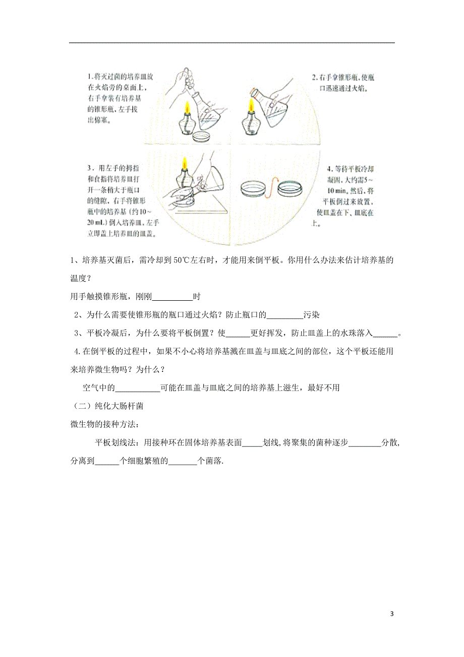 高中生物-专题二-微生物的培养与应用导学案新人教版1-_第3页