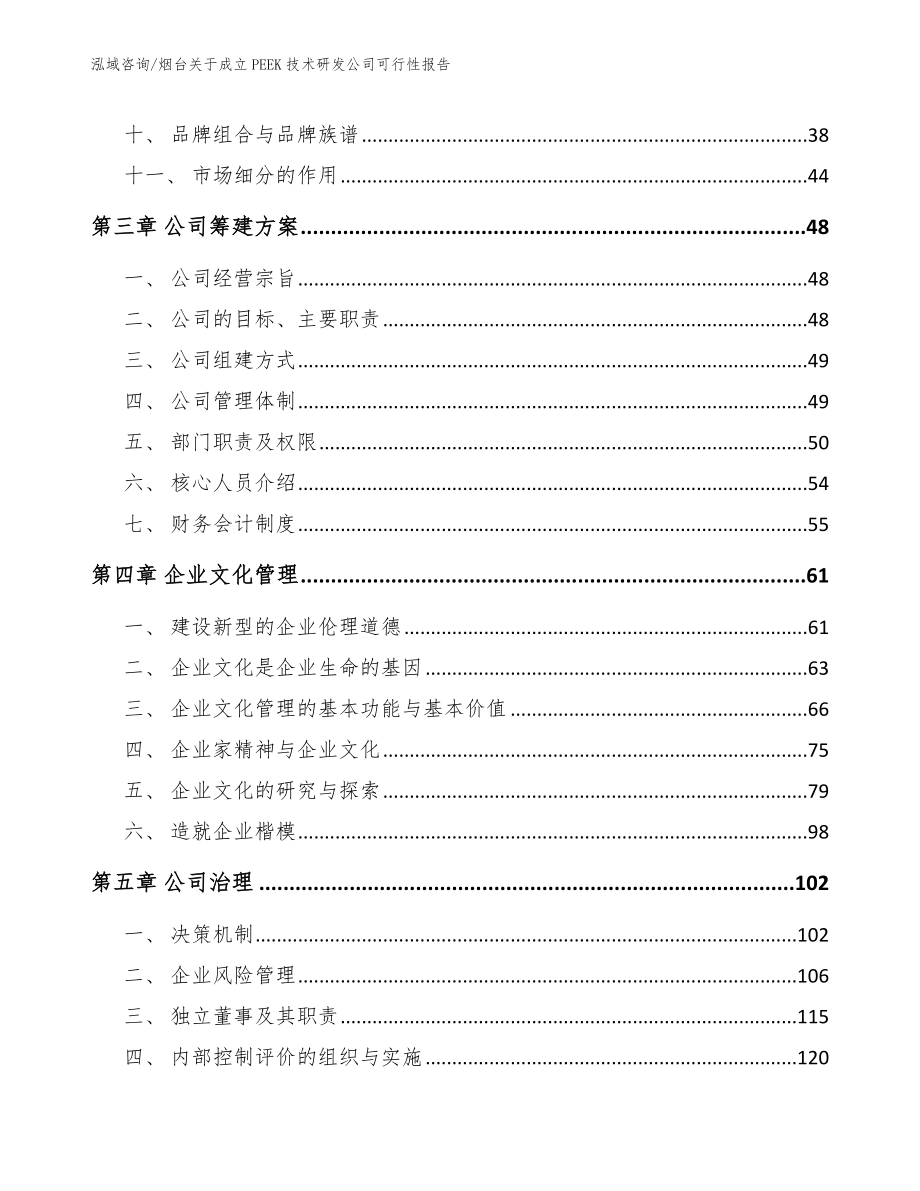 烟台关于成立PEEK技术研发公司可行性报告（参考范文）_第2页