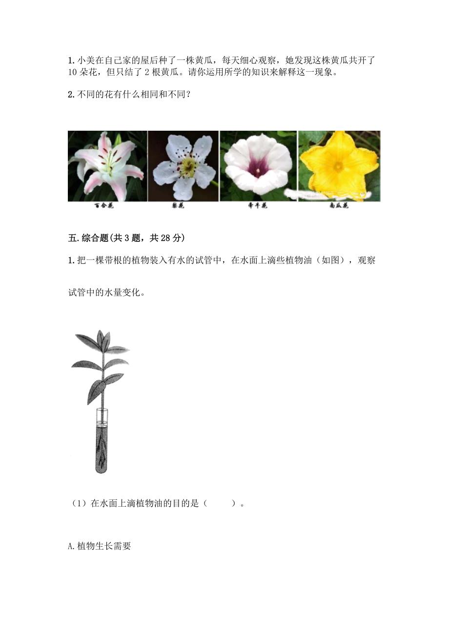 教科版科学四年级下册第一单元《植物的生长变化》测试卷附答案(综合卷).docx_第4页