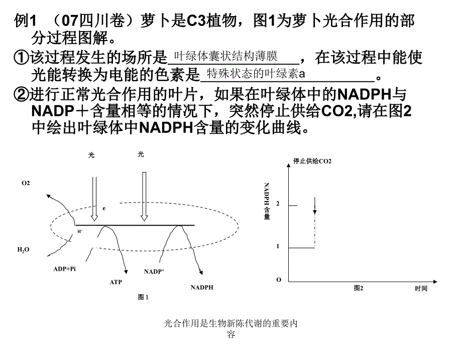 光合作用是生物新陈代谢的重要内容课件_第3页