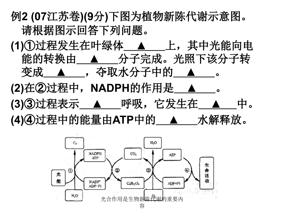 光合作用是生物新陈代谢的重要内容课件_第4页