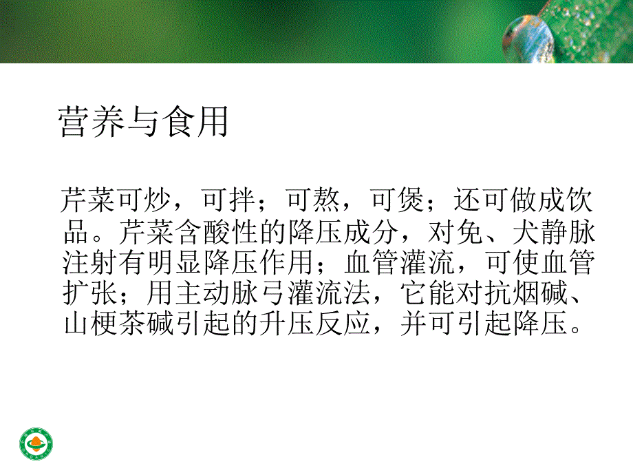 常见根茎类蔬菜介绍课件_第4页