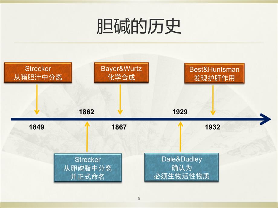 体供基甲课件_第5页