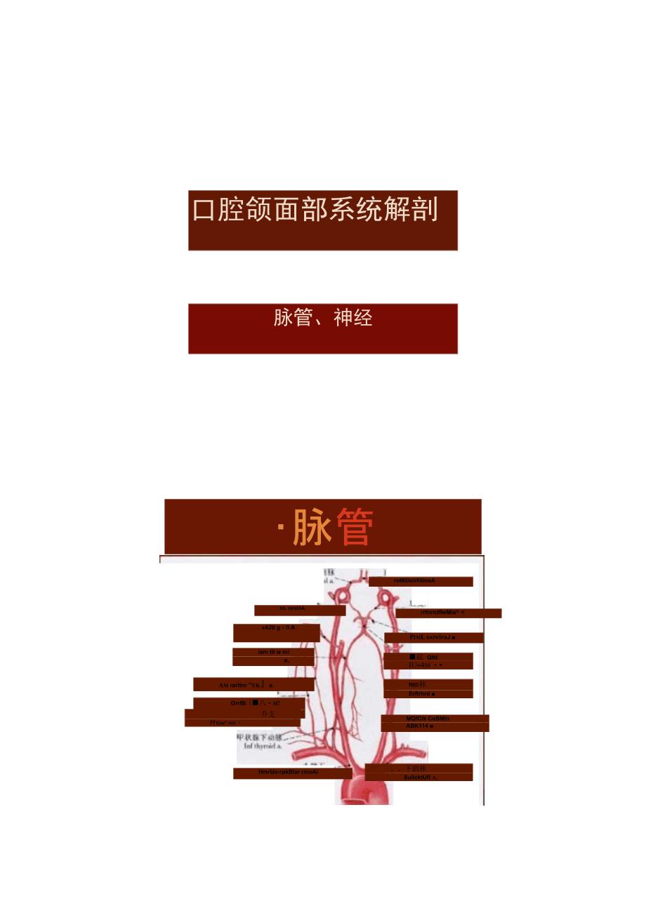 口腔颌面部系统解剖血管神经1汇总_第1页