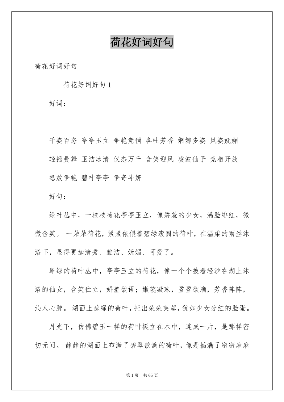 荷花好词好句_第1页