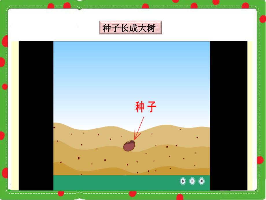 播撒希望的种子_第3页