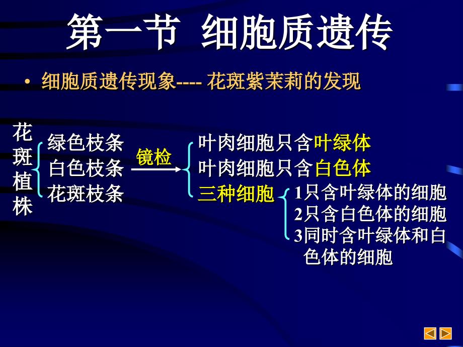 第一节细胞质遗传2_第3页