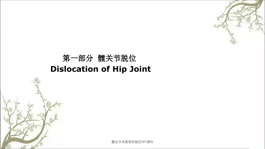 髋关节周围骨折脱位PPT课件_第3页