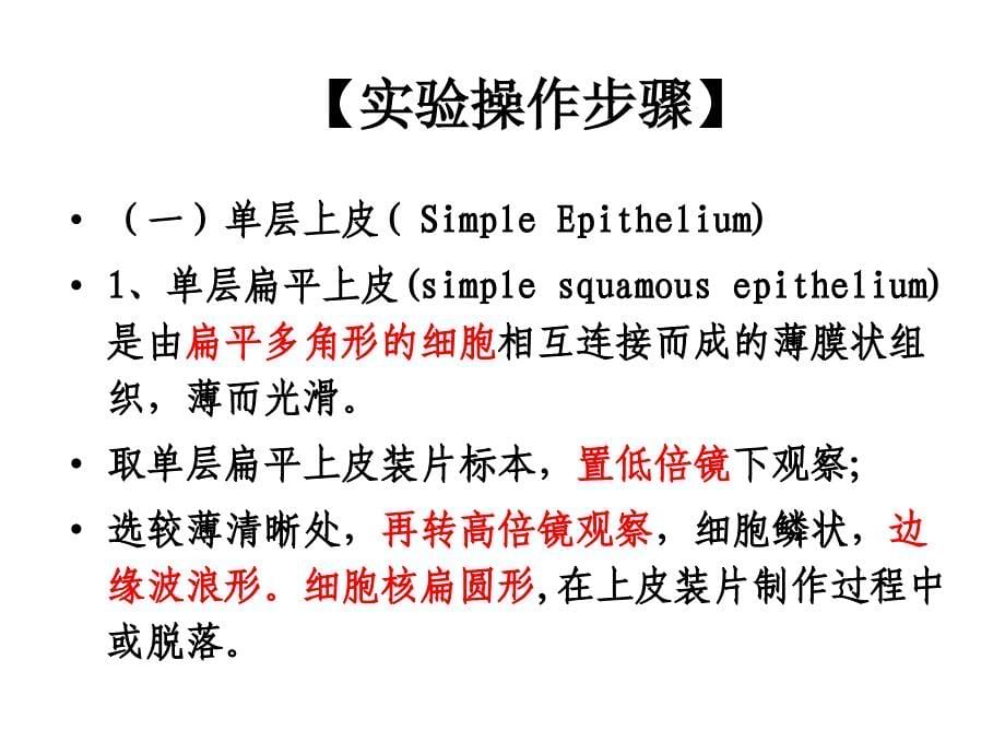 实验1上皮组织的观察_第5页