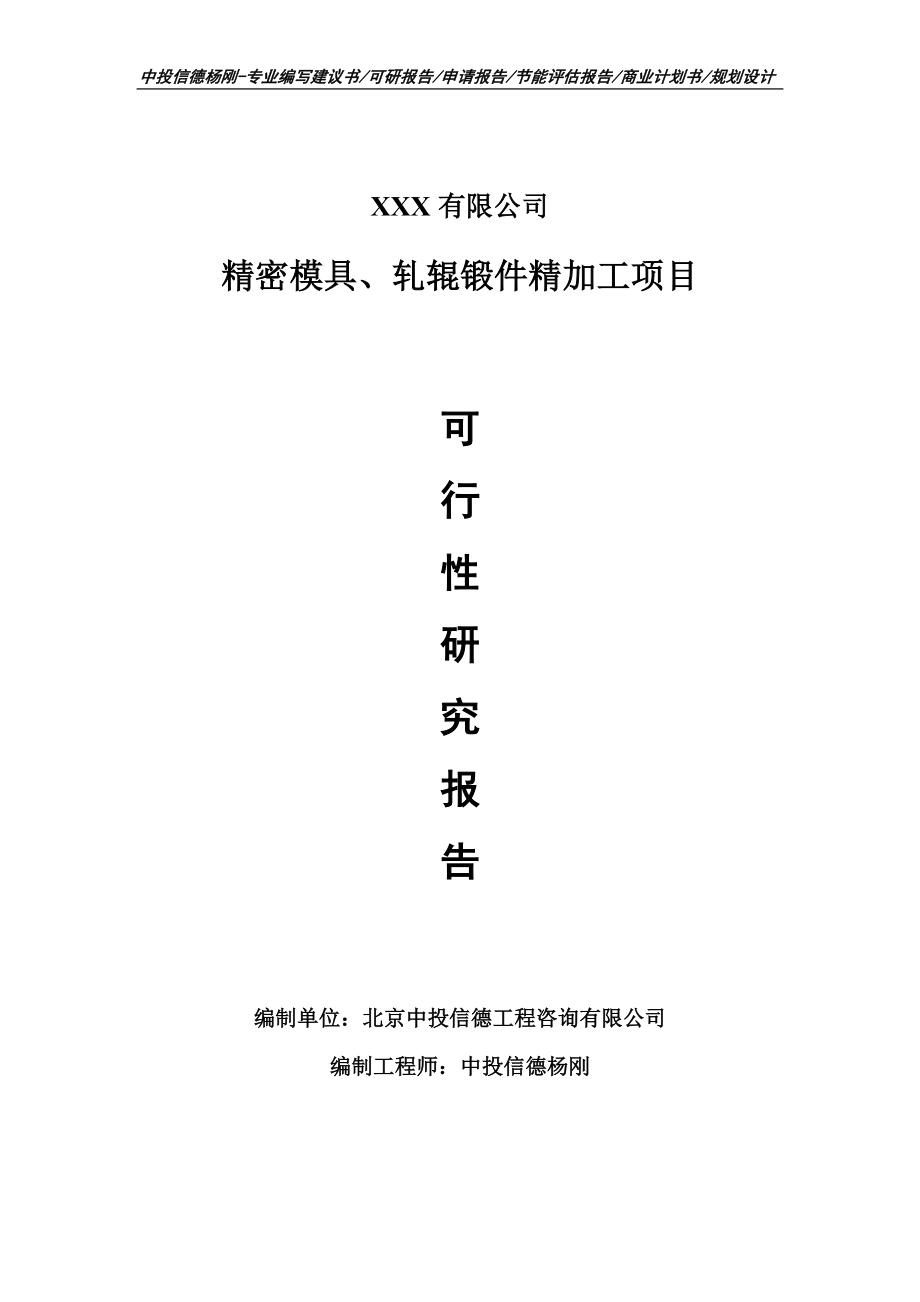 精密模具、轧辊锻件精加工项目申请报告可行性研究报告_第1页