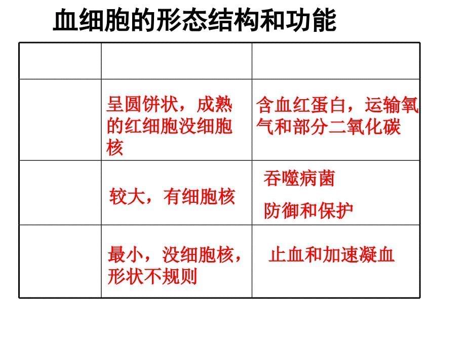 初二生物血液循环复习课件_第5页