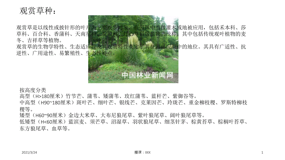 观赏草种PPT课件_第1页