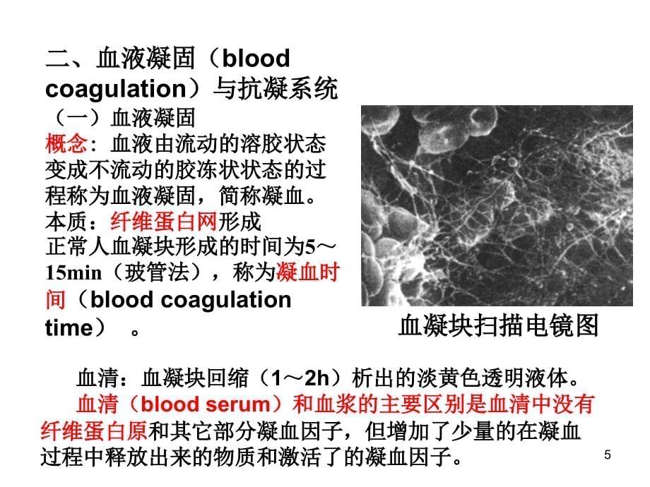 加工出来的生理最复习的资料_第5页