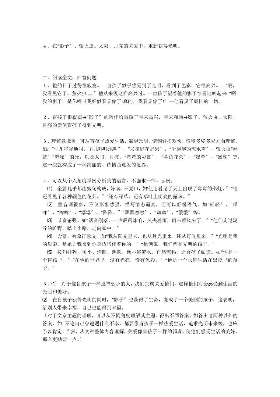 盲孩子和他的影子阅读训练题及答案_第3页