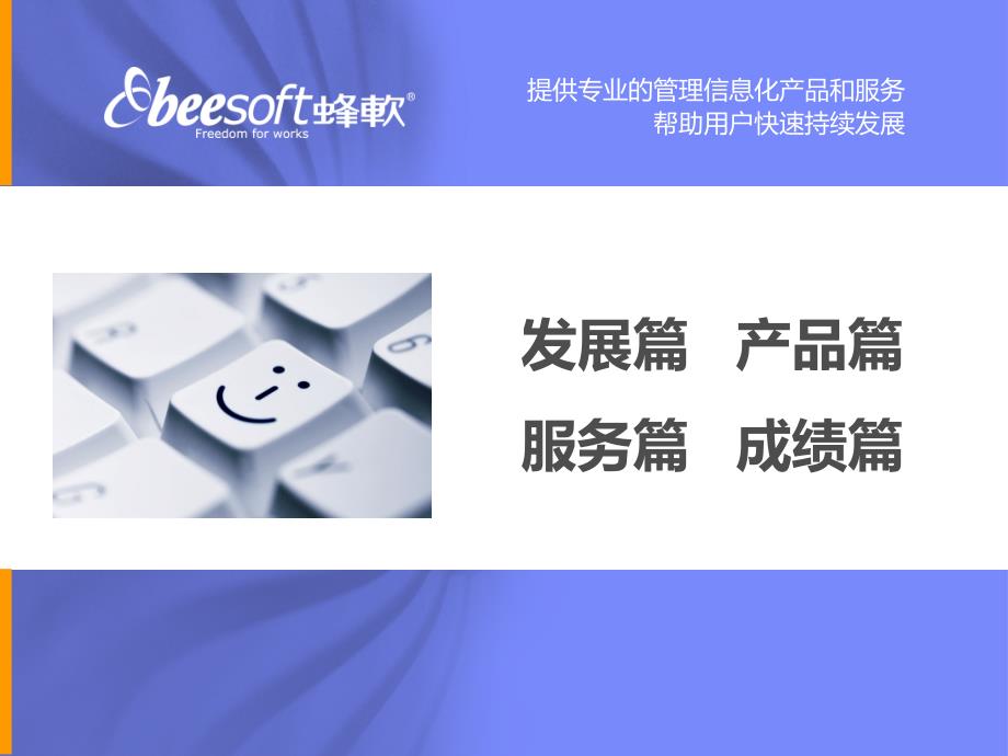 《BEESOFT公司介绍》PPT课件.ppt_第2页