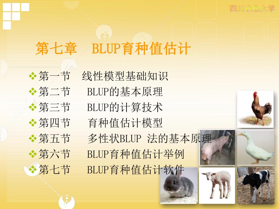 家畜育种学07种畜的遗传评估(三)：BLUP育种值估计.ppt_第1页