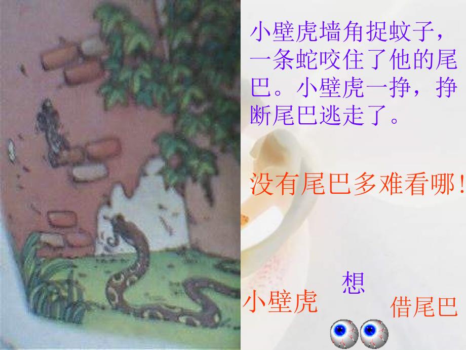 小壁虎借尾巴PPT课件_第3页