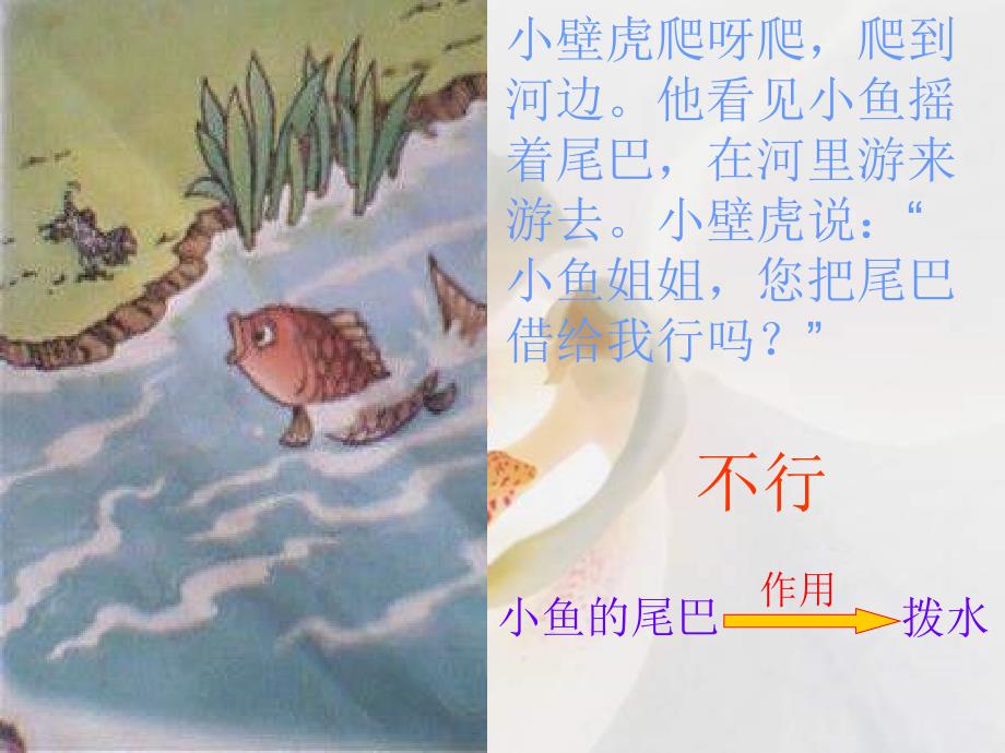 小壁虎借尾巴PPT课件_第4页