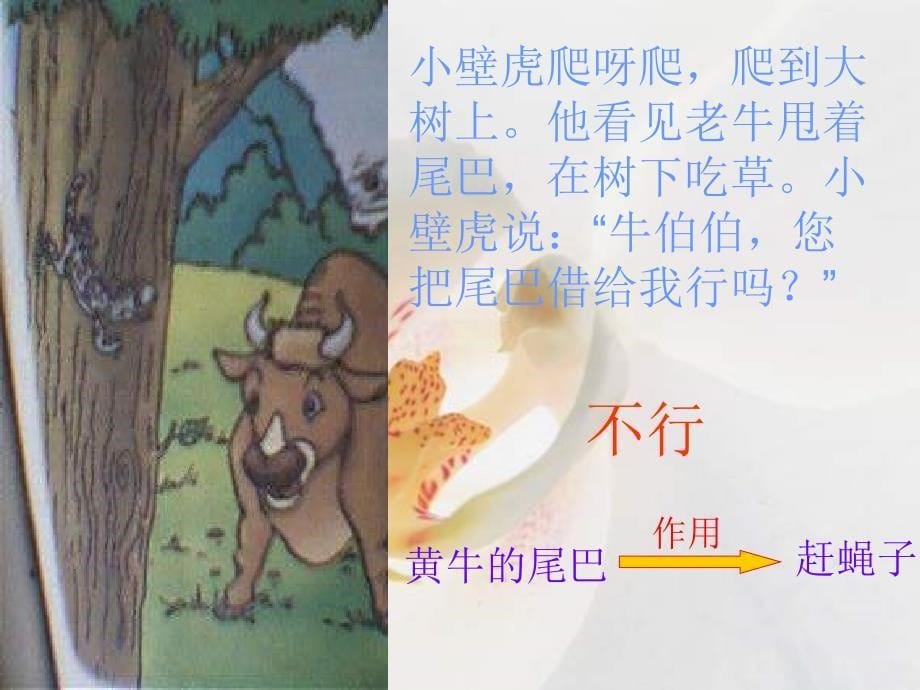 小壁虎借尾巴PPT课件_第5页