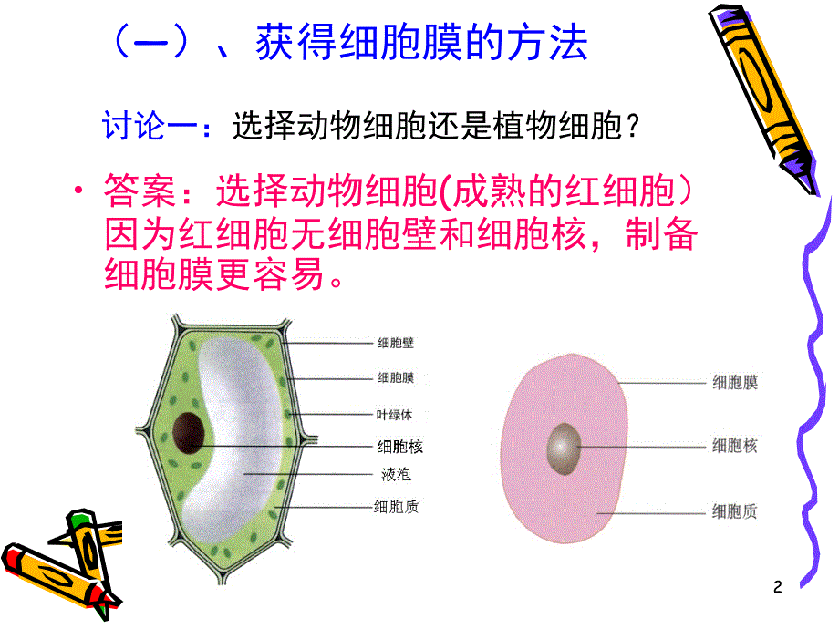 高一生物细胞膜课堂PPT_第2页