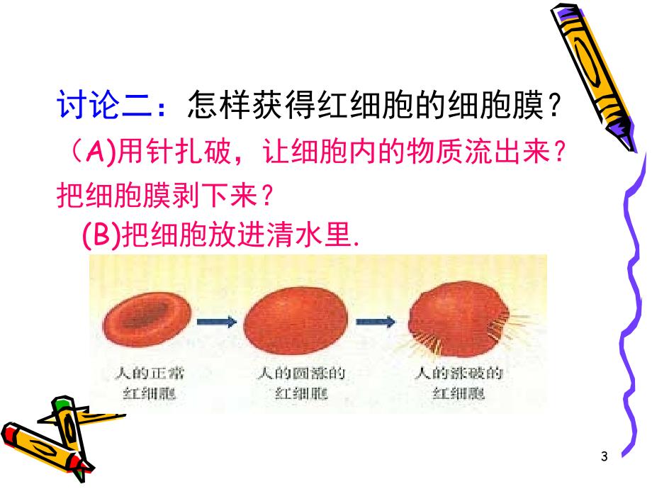 高一生物细胞膜课堂PPT_第3页