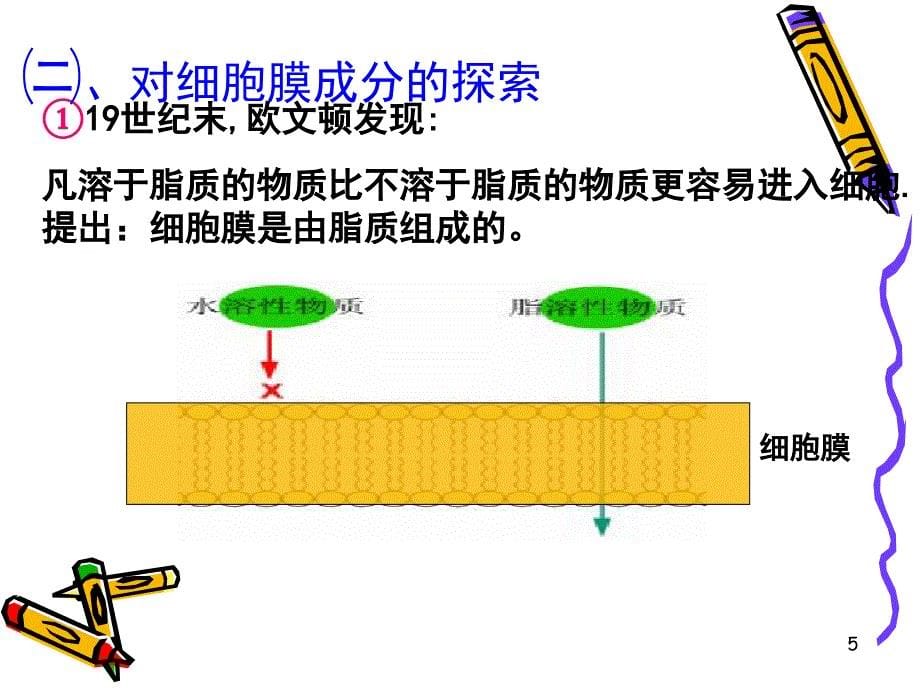 高一生物细胞膜课堂PPT_第5页