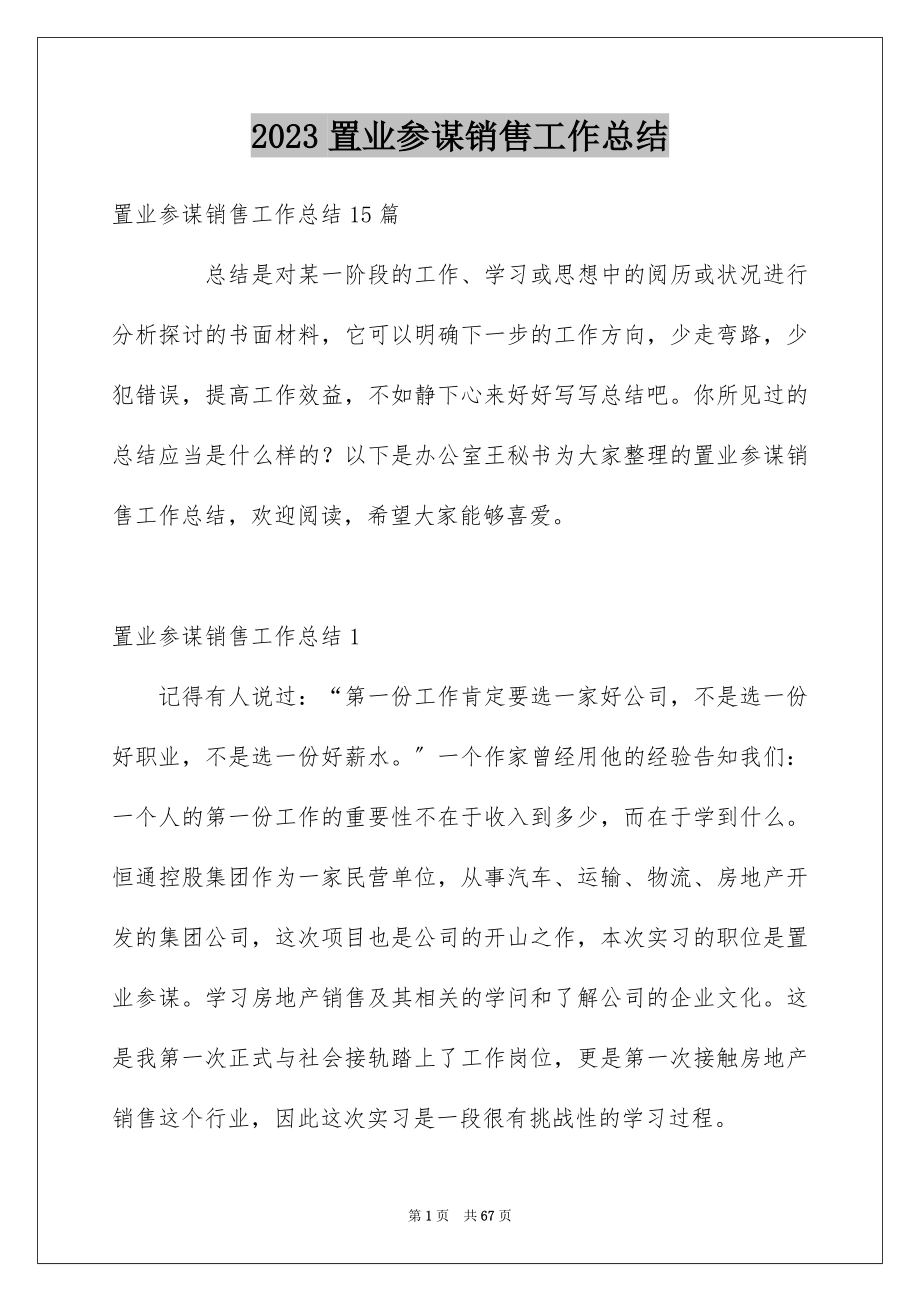 2023年置业顾问销售工作总结2范文.docx_第1页