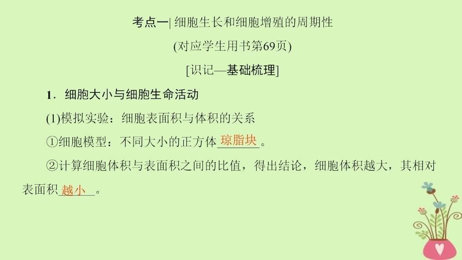 高考生物一轮复习第4单元细胞的增殖分化衰老和凋亡第1讲细胞的增殖课件苏教版_第5页