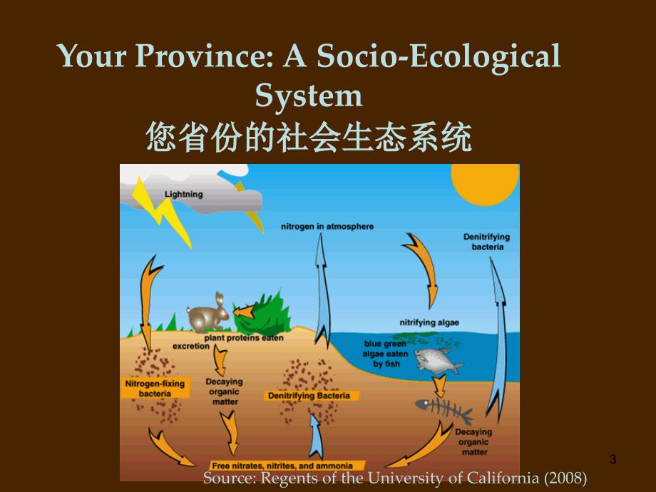 国家适应性能力框架_第3页