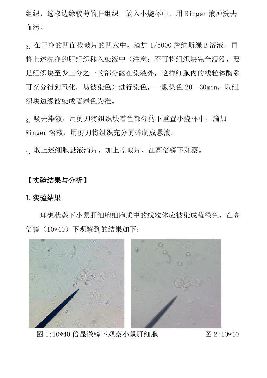 小白鼠肝细胞线粒体的超活染色及观察实验报告精编_第5页